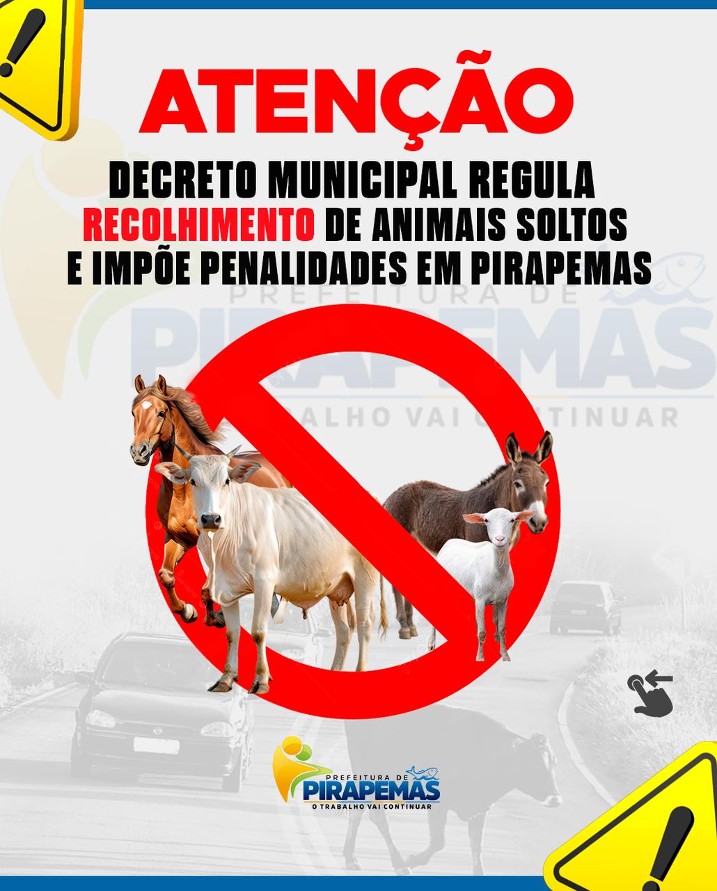 ATENÇÃO, PIRAPEMAS!