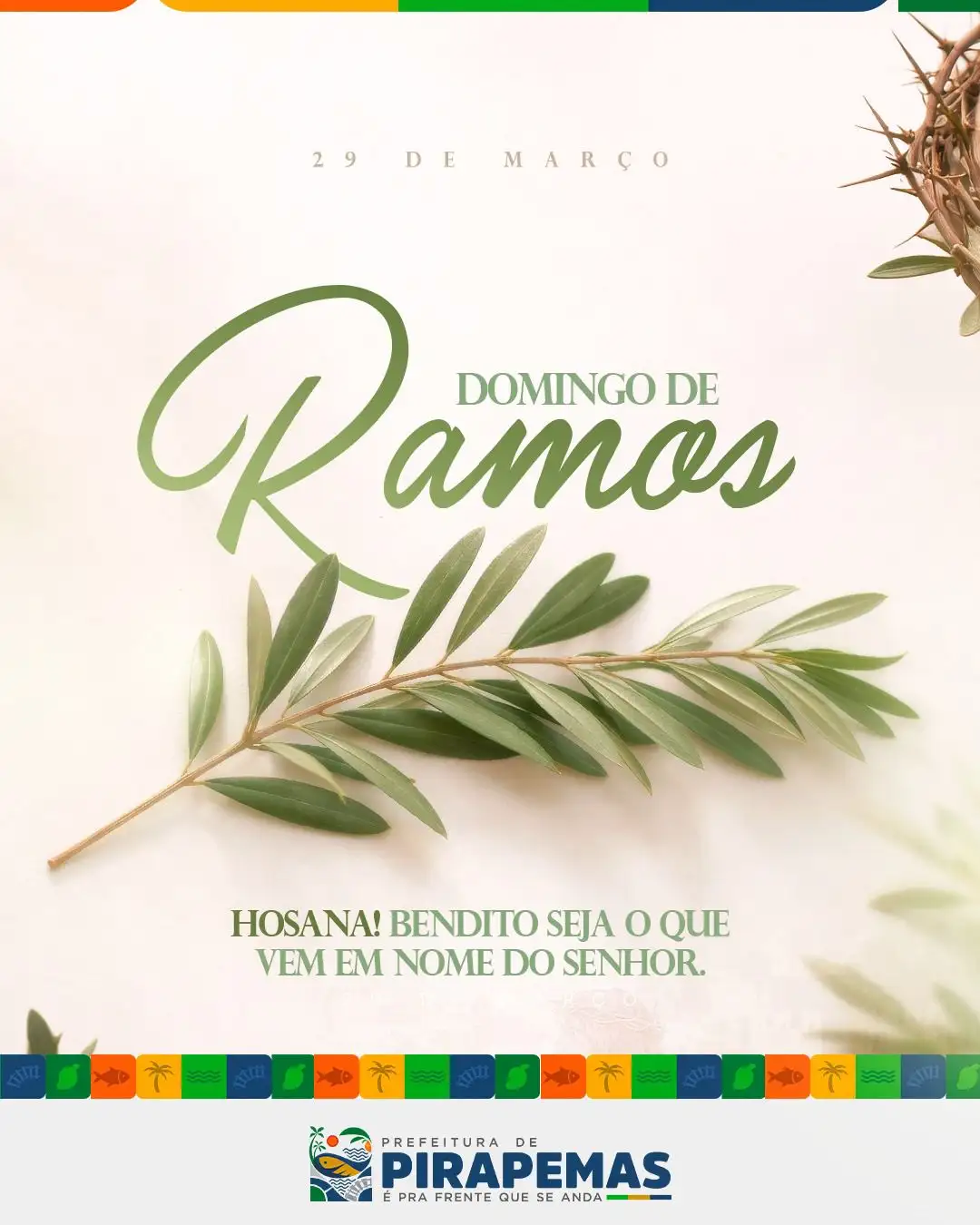 🌿🙏 Domingo de Ramos!