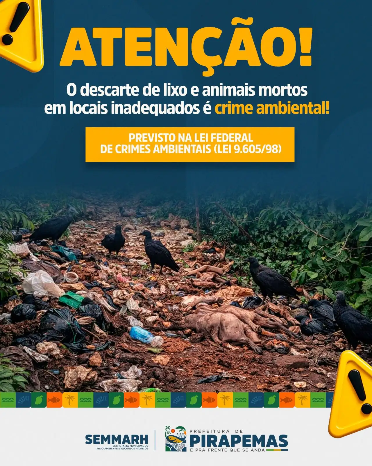 Fiscalização na Estrada Matões!