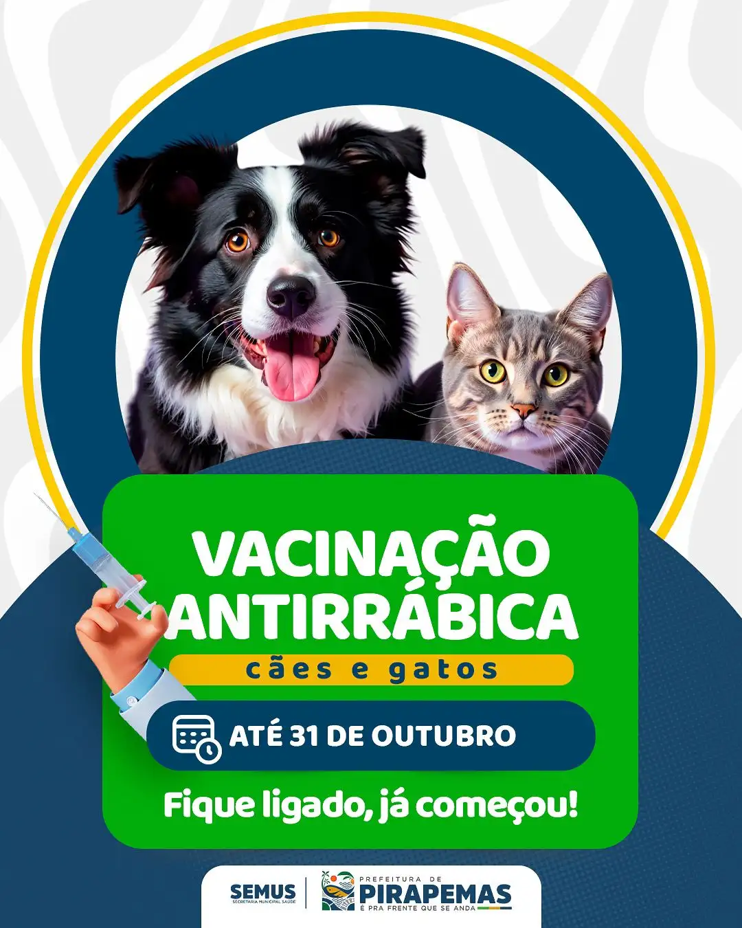 📢 VACINAÇÃO ANTIRRÁBICA 🐶🐱