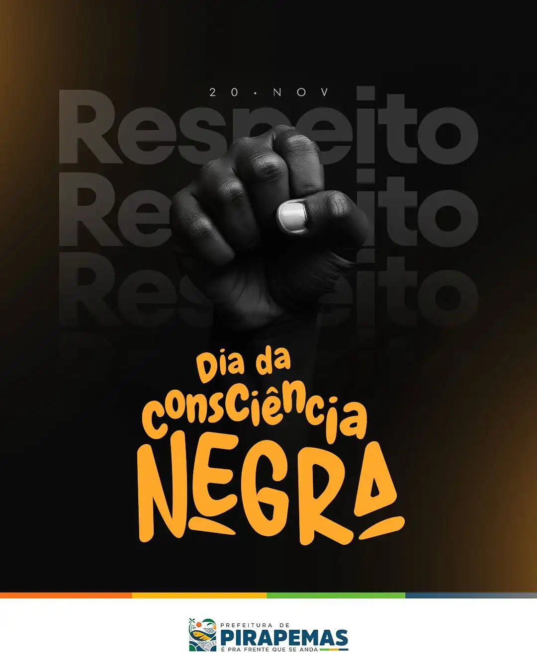 ✨ 20 de novembro – Dia da Consciência Negra ✊🏾